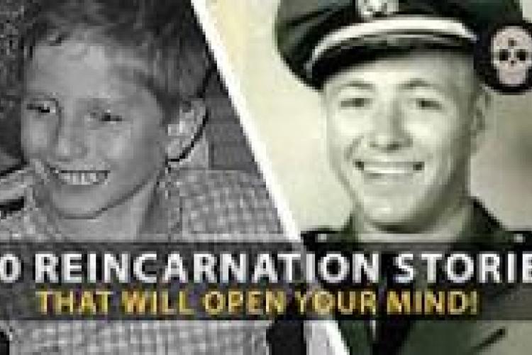  10 Reincarnation Stories videos