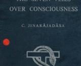 The Seven Veils over Consciousness